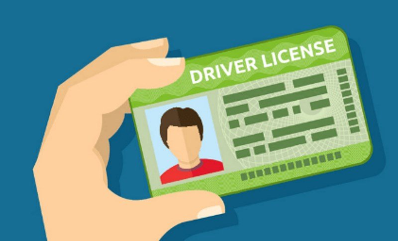 driving license translation